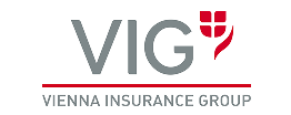 VIG logo 01